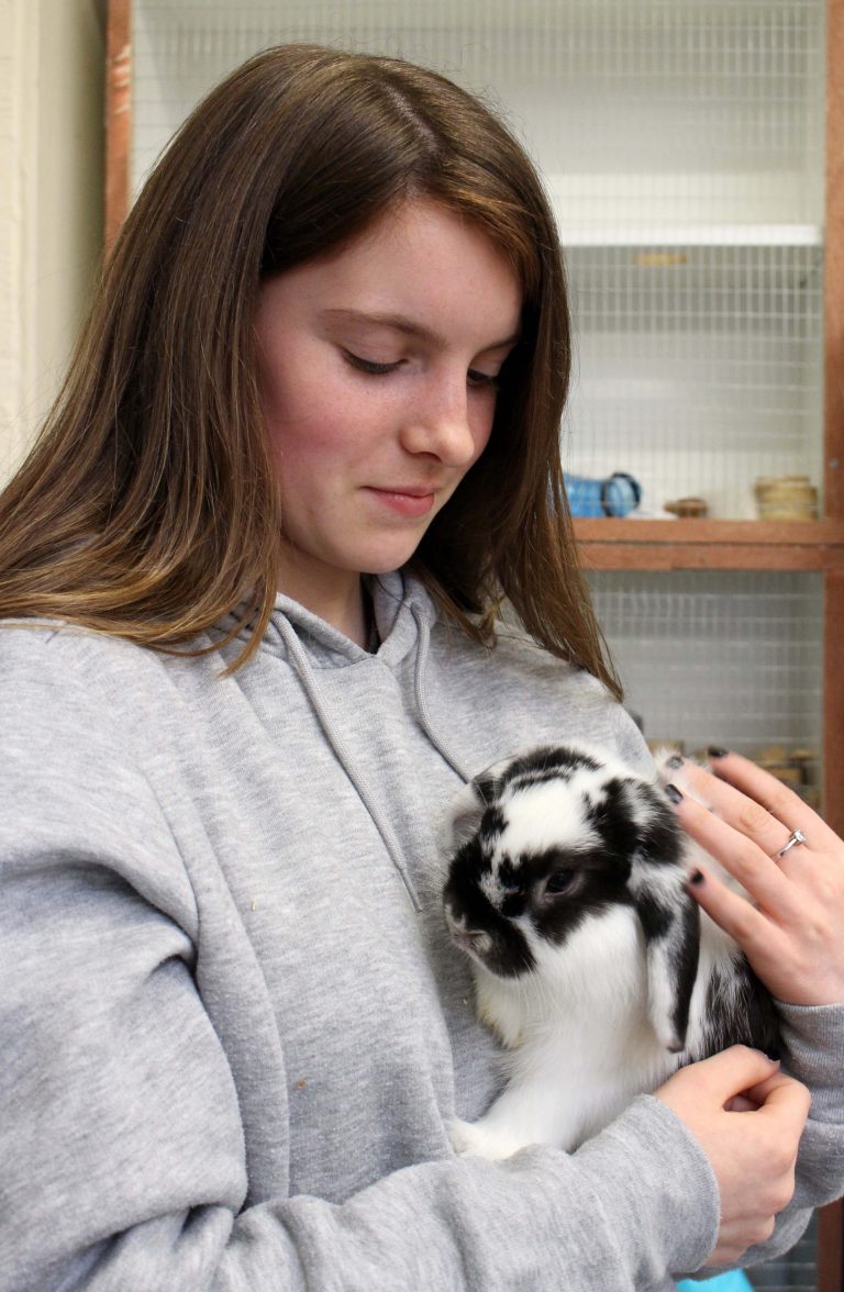 Animal Management Prestatyn Sixth Prestatyn High School